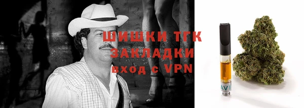 индика Строитель