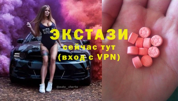 гашик Костерёво