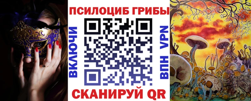 площадка какой сайт  Тихвин  Псилоцибиновые грибы Psilocybine cubensis  купить закладку 
