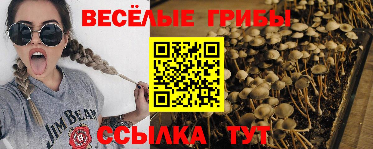 Галлюциногенные грибы мицелий Тихвин
