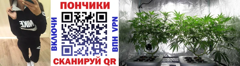 blacksprut ССЫЛКА  Тихвин  Бошки Шишки Bruce Banner 